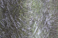 Llanwrda fibreglass roof work